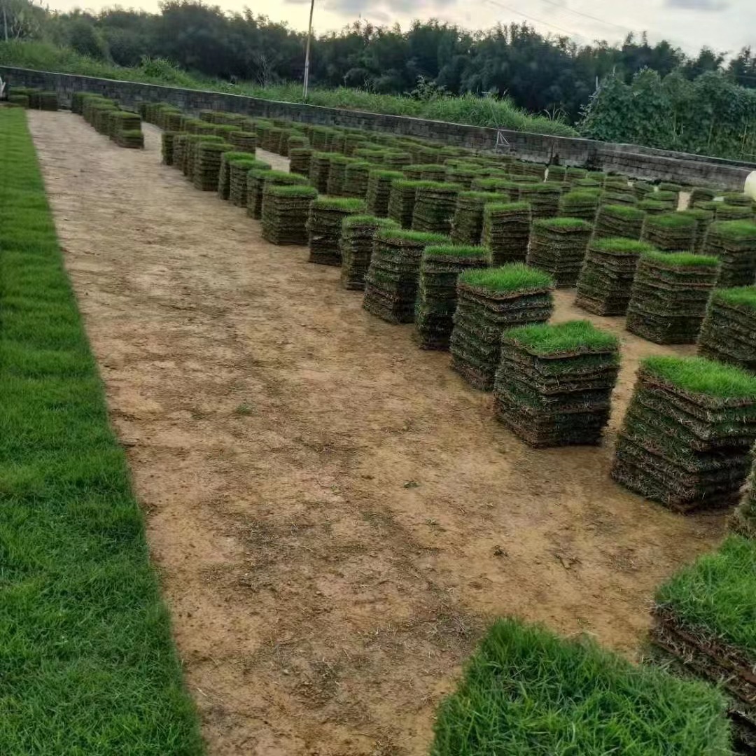 6a10dc57e40ca7379cc78b519bcf21