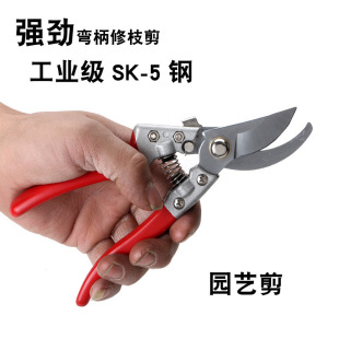 ��݆��֦����֦��@�ֈ@ˇ������֦����sk5�����֦��ʡ��