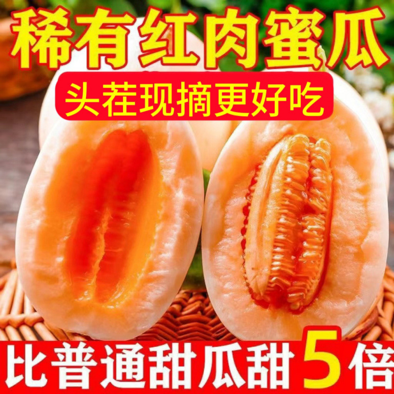 【爆甜红肉】正宗陕西阎良头茬红肉甜瓜香瓜蜜瓜新鲜水果批发价