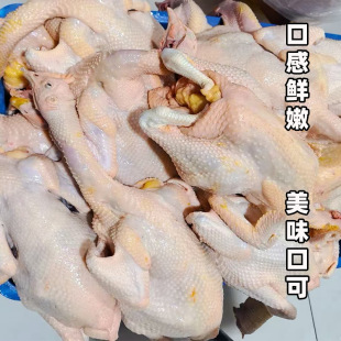 �������u��ɽɢ�B���u���u�r�����P���r���a��ֻ�ߵ�ĸ�u��������