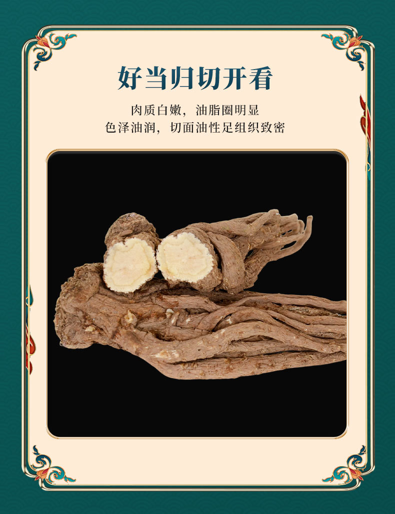 Premium Dang Gui from Dingxi Min County, Large and Medium-Sized Whole Roots, Sulfur-Free, New Stock, at Prices detail image