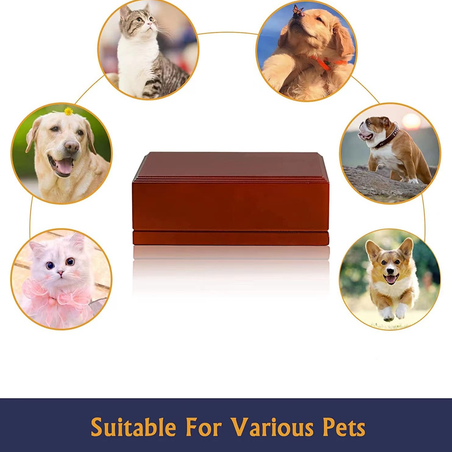 Transfronterizo en stock ataúd cinerario rojo madera maciza mascota memorial cinerario ataúd con marco de fotos perro caja funeraria perro madera maciza