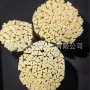异形稳固槽楔