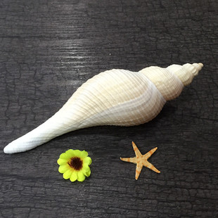 �S��ֱ�N ���� �~��ˮ�����쾰 ��Ȼؐ��  ���� ���� �Ҿ��b�