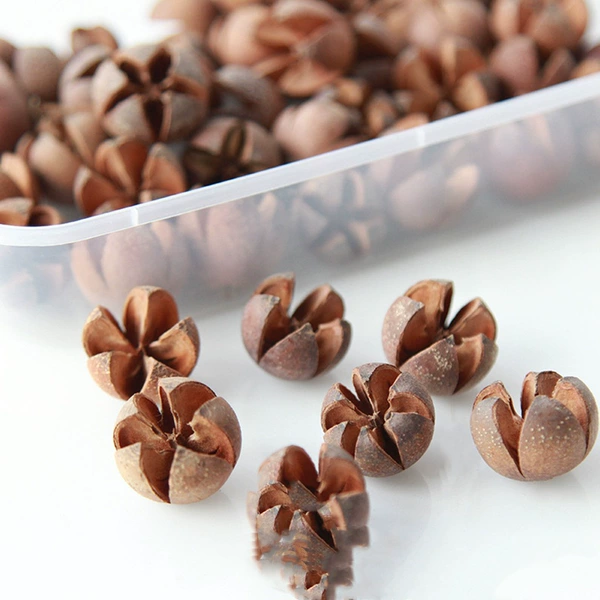 5 cross fruits—dried flower bag
