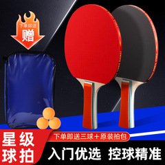 乒乓球拍 2只装球拍套装 体育训练用品2拍3球 初学者学生比赛专用