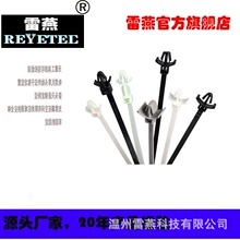 REYETEC��|�������̶���115-00067 | RT30SSF5-PA66-NA