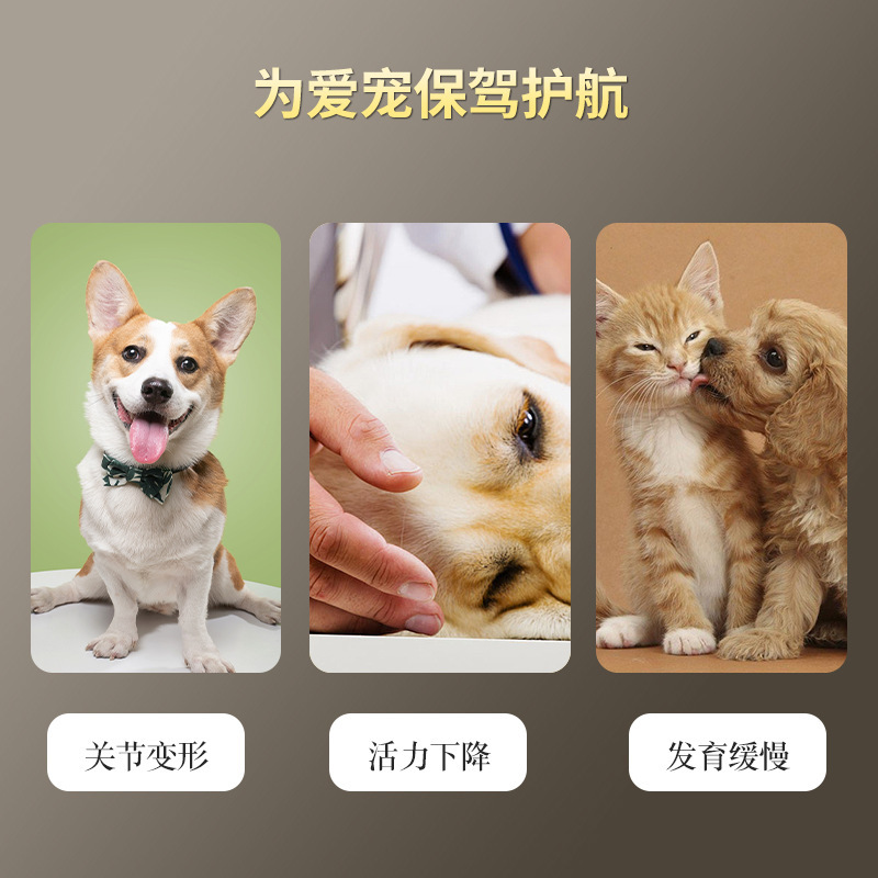 送料無料犬カルシウムタブレット子犬と成犬ユニバーサルテディゴールデンレトリバービタミン微量元素 300 ペットカルシウムタブレット|undefined