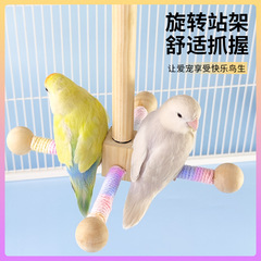 オウム風駅の棚は玄鳳牡丹の虎の皮をかじって爪を磨いてくちばしのブランコのはしごの鳥の駅の棒のおもちゃの卸売りに耐えます。