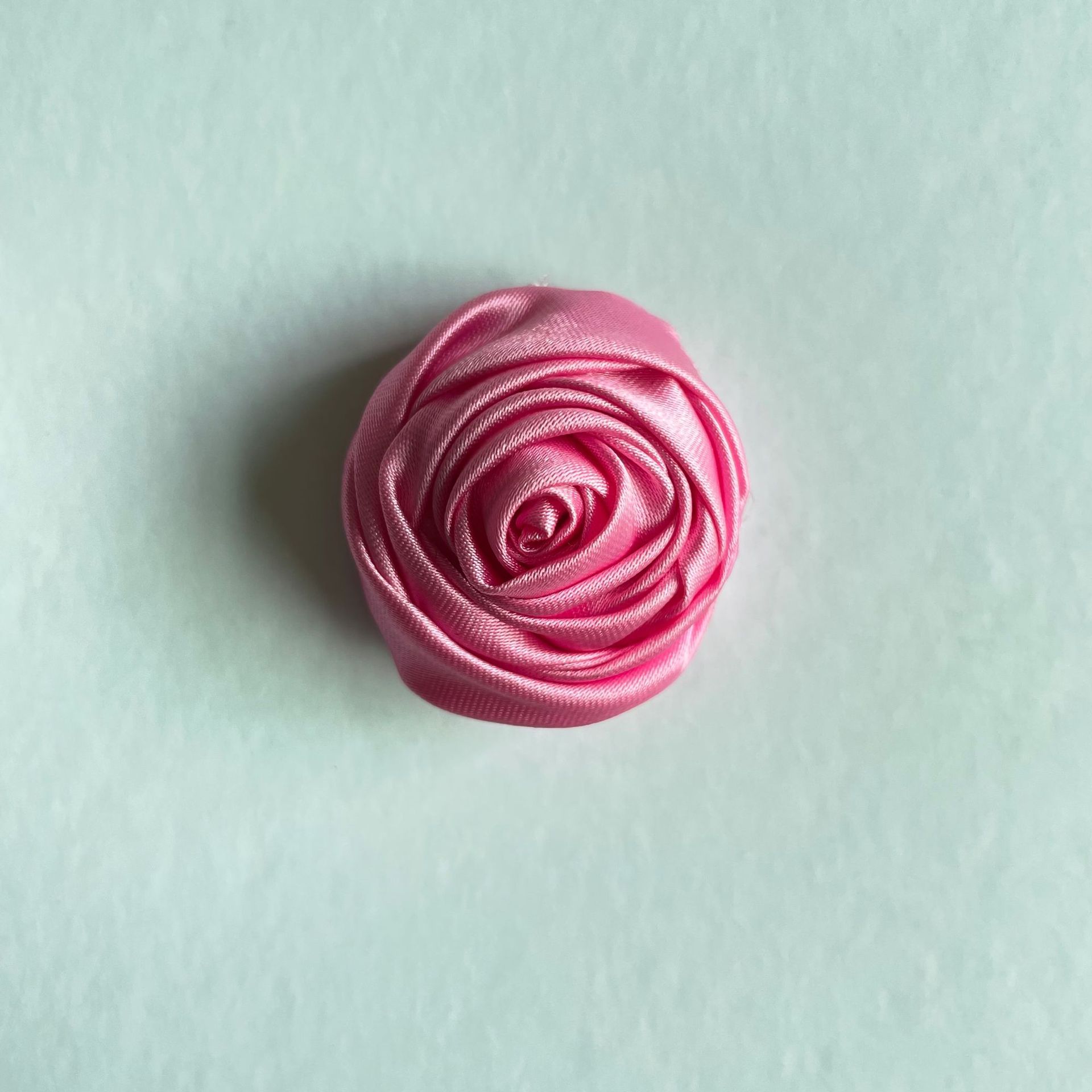 色丁玫瑰3 (10).jpg