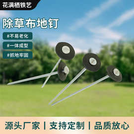 草坪钉除草布地钉镀锌跨境大棚温室塑料膜遮阳网固定钉园艺地布钉