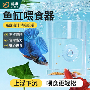 Fish Tank Feeder Suction Cup Anti-Drift Fixed-Point Fish Feeding Artifact Small Floating and Sinking Fish Food Fixed Feeding Supplies