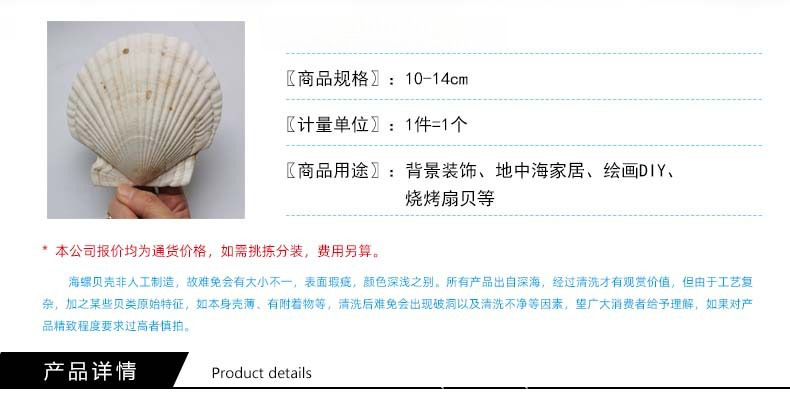 大夏夷贝_02.jpg?x-oss-process=image/format,png