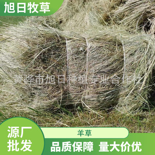 �F؛����������|�ݲ���  ���� ţ���R�� ������@�L�i¹����