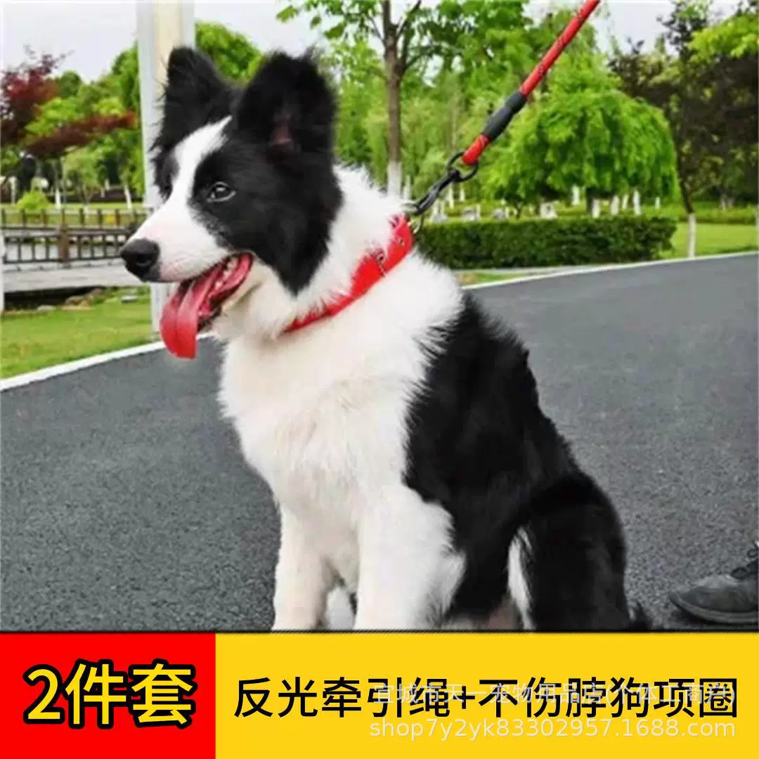 Новый удлиненный 1.5m необтягивающий поводок для собак, нейлоновый светоотражающий шелковый поводок для собак, товары для домашних животных, поводок для собак