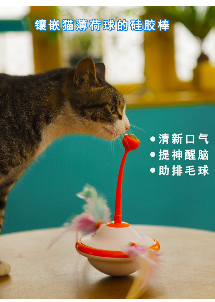 健康运动