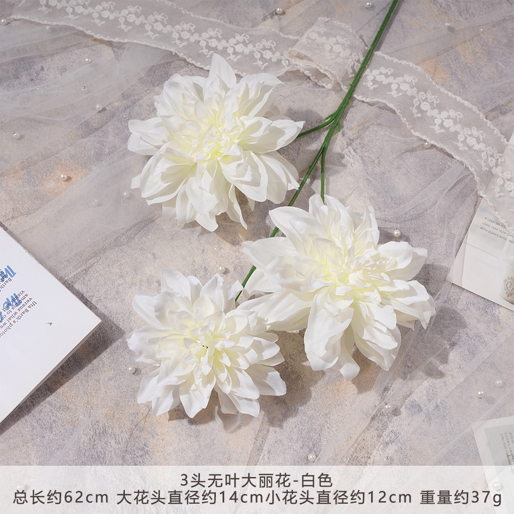 MM-3 잎이 없는 달리아-화이트