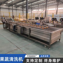 果蔬气泡清洗机水果蔬菜辣椒中药材清洗设备全自动果蔬清洗机小型