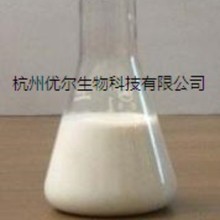 ���ڼ��㾫���� �oζ��ᄩ-----�o��⣬�𜆝����� ��춸��N�