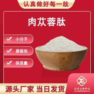 ��ɐ����С����ȫˮ��ë�ﻨ�����ɹ�������ɐ�ض��ǬF؛