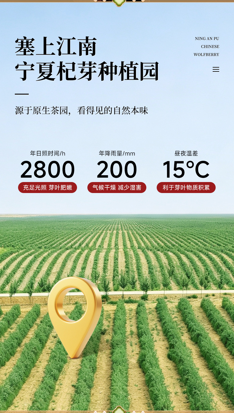 Ning'anbao Goji Sprout Tea 2026 New Goji Leaf Tip Tea 120g Gift Box key features