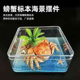 创意夜光贝壳螃蟹摆件漂流瓶爆款3D立体梦幻海景装饰礼品批发家居
