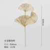 Small branch ginkgo leaves (single)