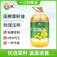 һ����������r����ե������5���bʳ����5L