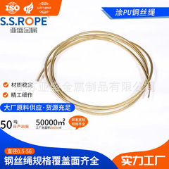 304ステンレスワイヤロープナイロン鋼紐7x19構造鋼索二相ステンレスワイヤロープ