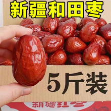 5���Ї����/�½��S�᠖���΅^/����؅^��t����؛���������