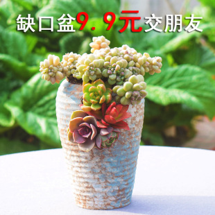 �ִ����մɿڿڏ�ȱ���չ��ش���·��������ش�̖��̖���蘶����
