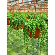 �������˜I���m����l؛ �Ғ촹������ֲ�� �҃��̨Ȥζ���^