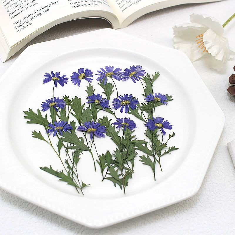 Конская орхидея образец растения тиснение DIY фоторамка ручной работы