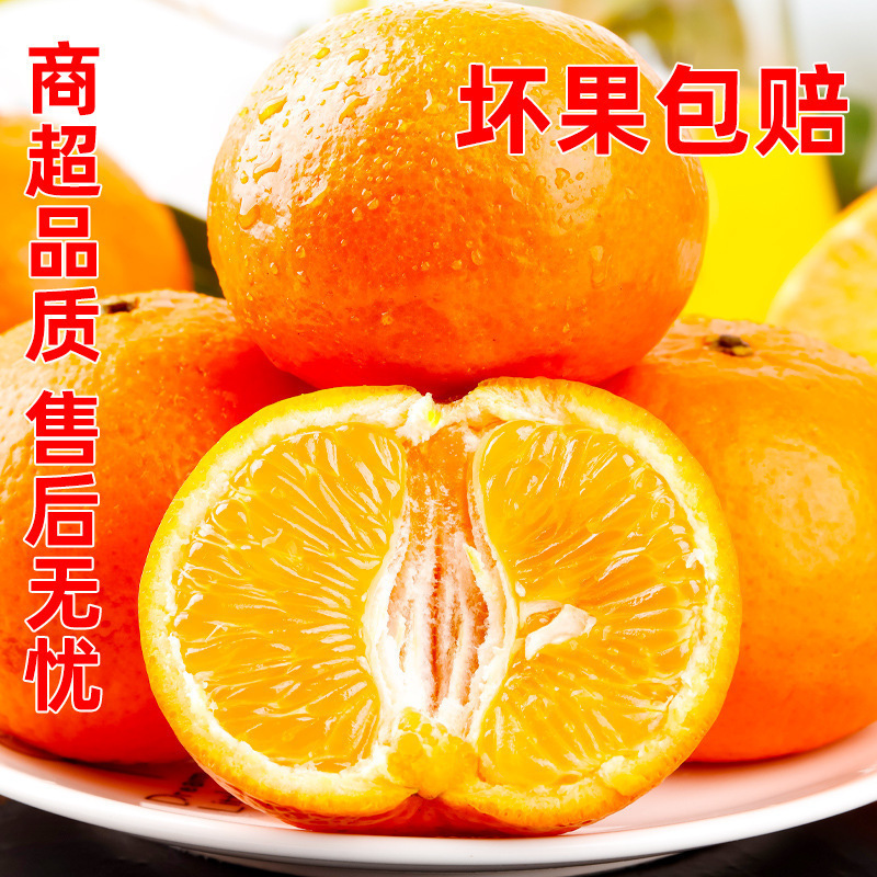 1.0kg -【품질이 뛰어난 과일】프리미엄 패키지, 순수하고 달콤하고 육즙이 풍부하며 맛있습니다!