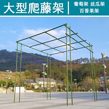 ͥԺֲ�����ټ��������ټܽz�Ϻ��J�������S�ϼܷNֲ�ܑ��⻨֧��