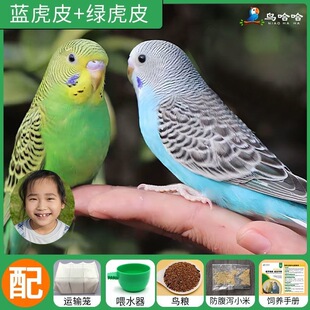 �Z�B�\���B�I�Bһ�ֻ�Ƥ�W�^���B�����B�B�����I�W�fԒС�͹�һĸ