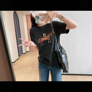 ���� �p�g����ײɫС�R�̽��l�����Ӻ�Ľq�A�IT��Ů2026�¿�