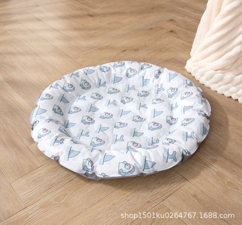 흰상어 둥근 얼음 둥지