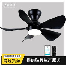 ҕ͏dFsWLȟ~LEDbصܵȟ