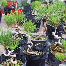 �����辰���ͳ��ఫ�Զ���ز�����ؑ�������Gֲ�����΢�����l