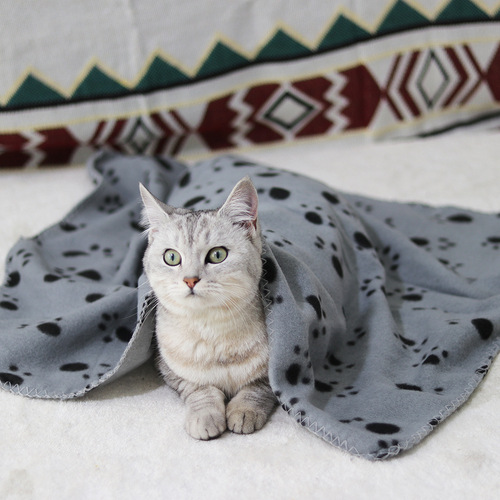 满100条 狗狗双面绒毯子保暖宠物毯子猫狗爪印毛毯睡垫宠物垫