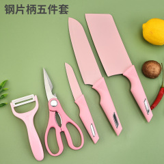 彩色鋼片柄不鏽鋼廚房刀具套裝五件套大菜刀廚用刀禮品盒包裝套刀