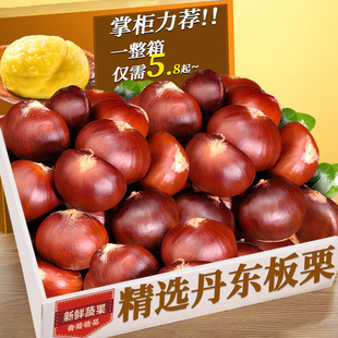 2024���r���|�����r�������۴���ڰ���Ұ����Ʊ �����F���F�l