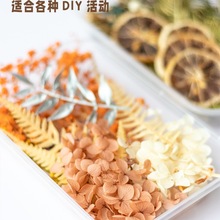 永生风干花手工原材料包浮游滴胶混装礼盒森系沙龙幼儿园装饰