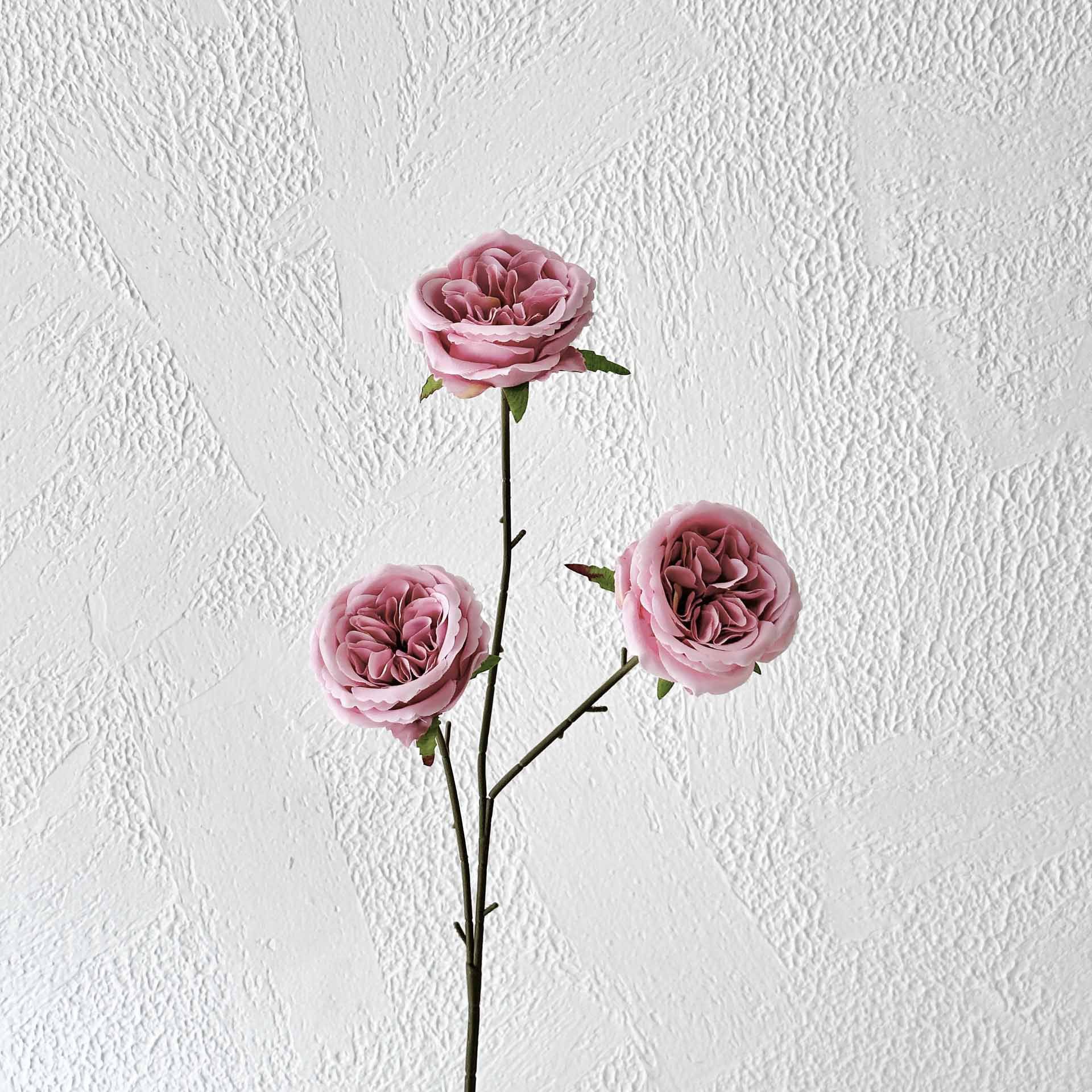 Dousha color 3 Austin Jr.