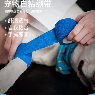 绷带护手指自粘无纺布高弹力运动弹性宠物缠脚弹力绑犬用鞋子