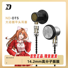 ND DTS简约风大动圈发烧级HIFI入耳式平头耳塞