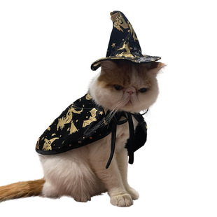 Cross-border New Halloween Witch Cloak Cat Wizard Cloak Pet Cloak Holiday Dress Up Transformed Costume