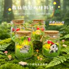 微景观玻璃罐diy材料包创意熊高级感小众微景观手工制作桌面摆件