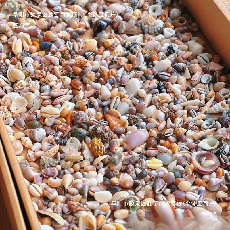 Натуральная ракушка, мини-ракушка, украшение, ручная работа, рамка для фото, ящик для хранения, аквариум, ландшафтный дизайн